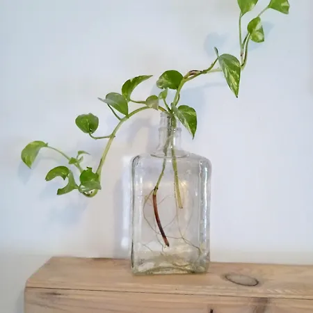 San Agustin * Córdoba